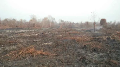 Ratusan Lahan Terbakar di Kalimantan Barat Resmi Disegel