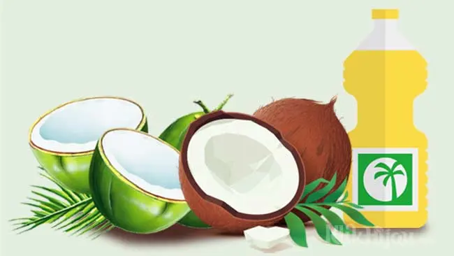 Secara Ilmiah, Manfaat Minyak Kelapa Ini Ternyata Keliru