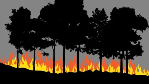 Setelah Berjibaku Lima Jam, Brigade Macaca Jinakkan Api di Bantimurung