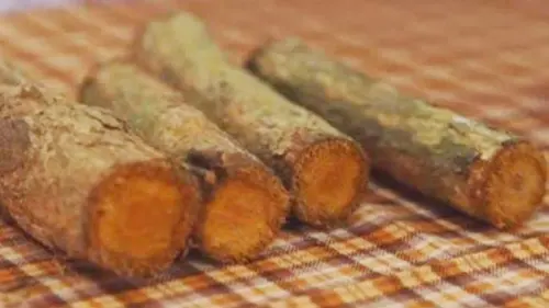 Tentang Bajakah, Kanker dan Potensi Eksploitasi Hutan Kalimantan