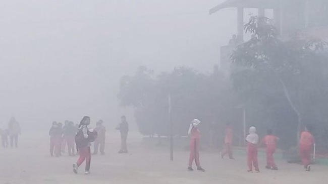 Waspada, Ini Sederet Risiko Kesehatan yang Disebabkan Asap Kebakaran Hutan
