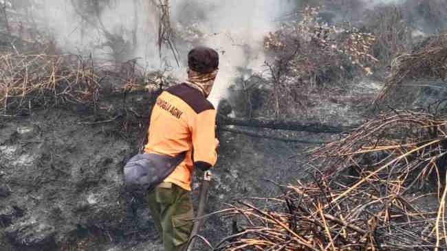Di September, Hampir Seluruh Wilayah Diintai Karhutla