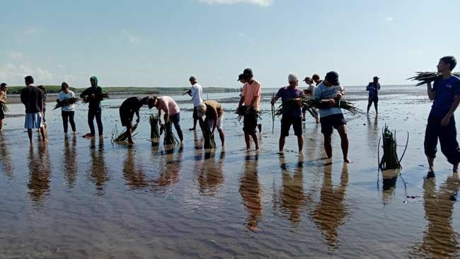 Buktikan Cinta Lingkungan, Mahasiswa Jepang Tanam Mangrove di Tongke-tongke