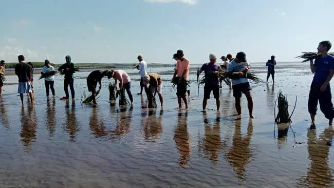 Buktikan Cinta Lingkungan, Mahasiswa Jepang Tanam Mangrove di Tongke-tongke