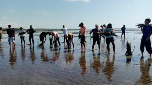 Buktikan Cinta Lingkungan, Mahasiswa Jepang Tanam Mangrove di Tongke-tongke