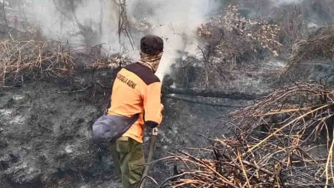 Di September, Hampir Seluruh Wilayah Diintai Karhutla