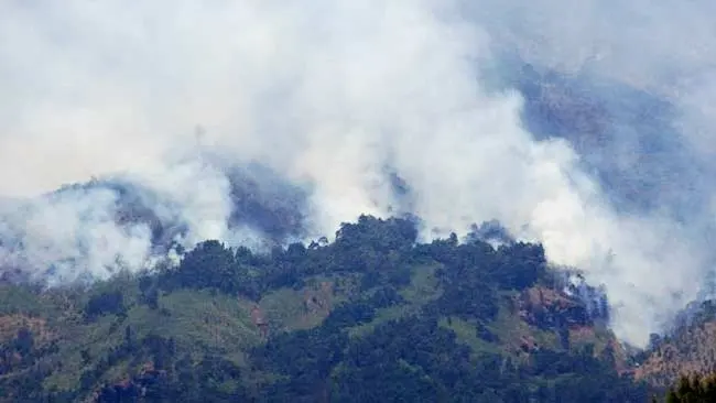 Hutan Lereng Gunung Sumbing Terbakar, 134 Pendaki Dievakuasi