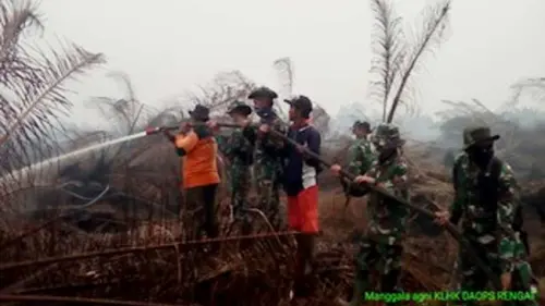 Karhutla Tahun Ini Lebih Parah Daripada Tahun Lalu?