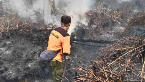 Kebakaran Hutan dan Lahan, Cerita yang Terus Berulang