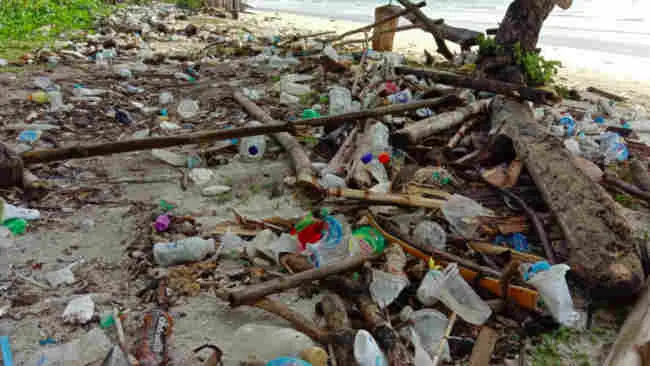 Sampah Terbanyak Kedua di Pantai, Kemasan Makanan dan Minuman