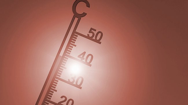 Ukuran Bayi yang Lebih Kecil Dikaitkan dengan Panas Ekstrem Akibat Perubahan Iklim