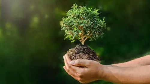Mengulik 7 Inisiatif Strategis dari IUCN