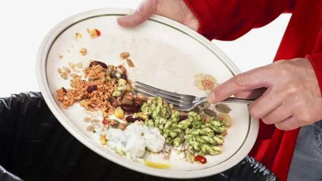 Perilaku Membuang-Buang Makanan Rugikan Lingkungan dan Sumber Daya