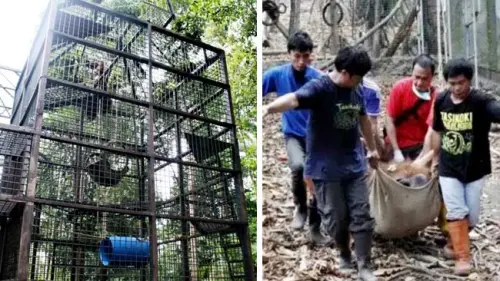 Pulang, Bento dan Iskandar Kembali ke Tempat Asalnya di Kalimantan