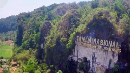 TN Bantimurung Bulusaraung Sah jadi ASEAN Heritage Park