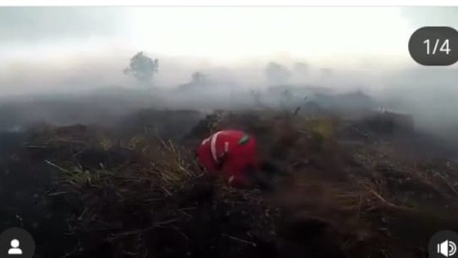 Bagi Petugas Karhutla, Hujan Bukan Kenangan, Tapi Kemenangan