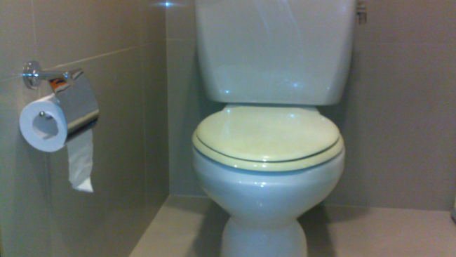 Betapa Repotnya Beradaptasi dengan Toilet Amerika