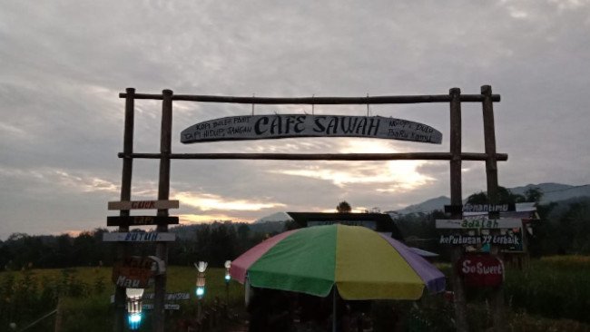 Kafe Sawah, Tempat Ngopi Penuh Sensasi di Baturapa, Bulukumba