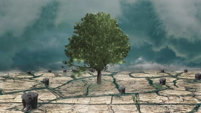 Menyimak 5 Pesan Penting dari Laporan IPCC AR6-WG II Perihal Krisis Iklim