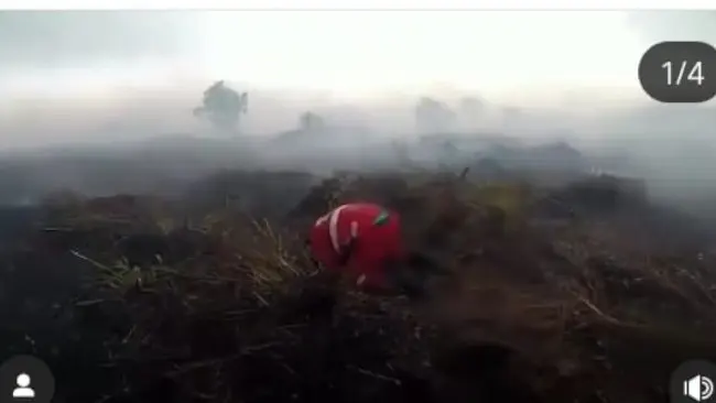 Bagi Petugas Karhutla, Hujan Bukan Kenangan, Tapi Kemenangan