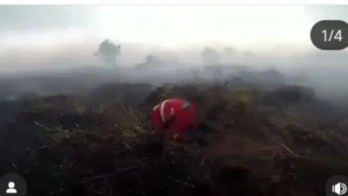 Bagi Petugas Karhutla, Hujan Bukan Kenangan, Tapi Kemenangan
