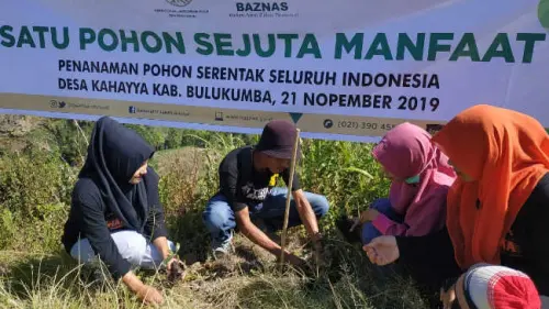 Baznas Bulukumba Hijaukan Donggia di Hari Pohon Sedunia