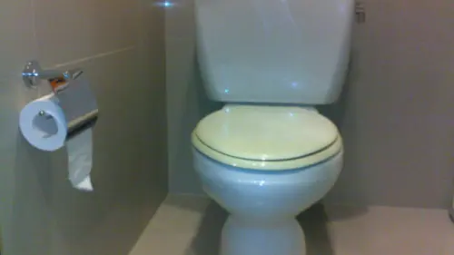 Betapa Repotnya Beradaptasi dengan Toilet Amerika