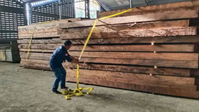 Gakkum KLHK Amankan Kayu Merbau Ilegal Asal Maluku Tengah