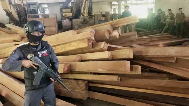 Gakkum KLHK Tindak Ribuan Kubik Kayu Ulin dan Meranti Ilegal di Kalimantan Timur