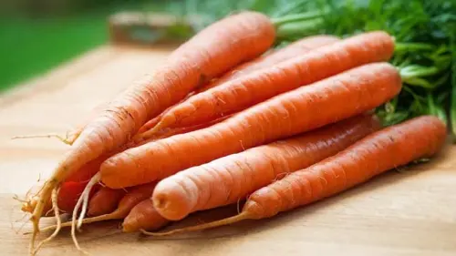 Jangan Dibuang! Limbah Wortel Bisa Jadi Ladang Protein Berkelanjutan