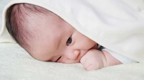 Mikroplastik dalam Feses Bayi Jauh Lebih Banyak dari Feses Orang Dewasa