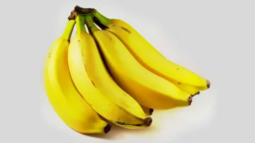 Pisang Terancam Infeksi Jamur Black Sigatoka Karena Perubahan Iklim
