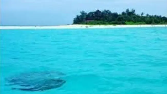 Saatnya  Bergerak Bersama Menyelamatkan Spermonde