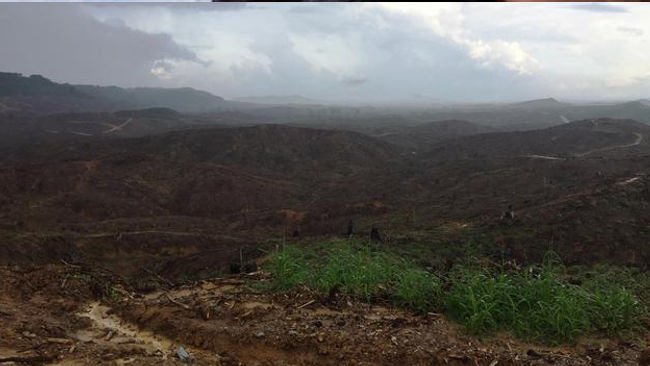 Lokasi Istana Presiden di Ibukota Baru Berada di Puncak Bukit Sepaku
