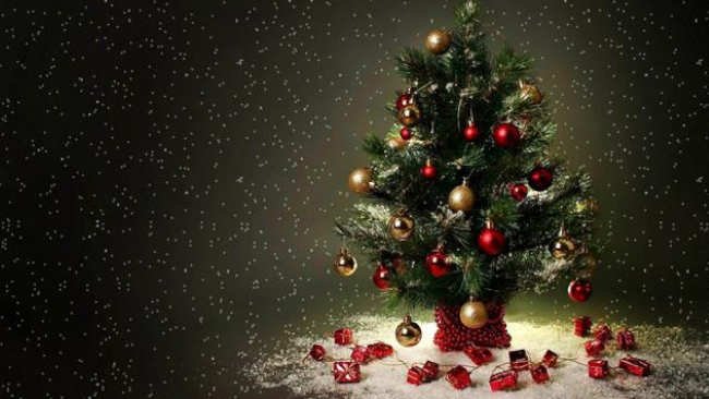 Pohon Natal akan Alami Kesuraman karena Kekeringan