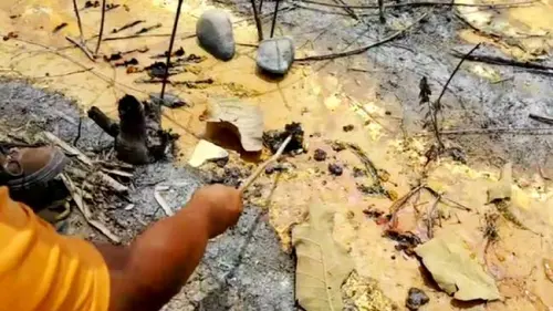 Limbah B3 Tumpah di Pekarangan Rumah Karso, PT MTLB Dalangnya?