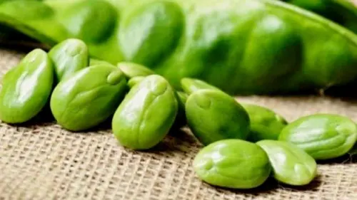 Perlu Diketahui, Ini Manfaat yang Diperoleh dari Makan Petai