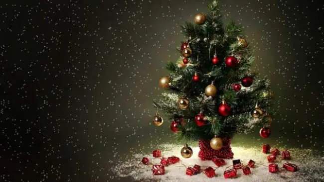 Pohon Natal akan Alami Kesuraman karena Kekeringan
