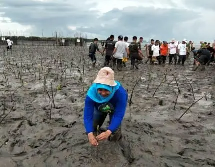 Pramuka dan Rimbawan Makassar Tanam Mangrove di Dermaga Lantebung