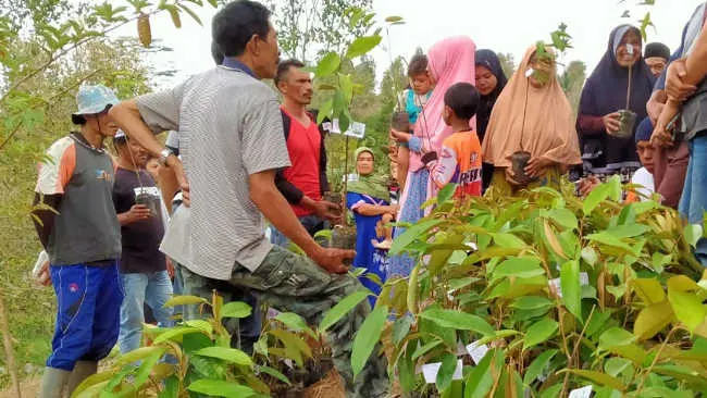Puang Jama dan Bibit Pohon Durian Abu Bakar Ash-Shiddiq