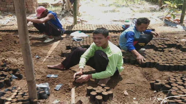 Saat Orang dengan Gangguan Jiwa Berupaya Sembuh dengan Menanam