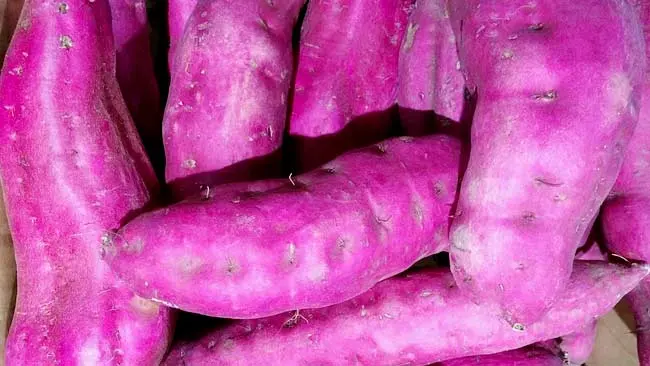 Selain Enak Dimakan, Kentang Ungu Juga Bisa Cegah Berbagai Penyakit