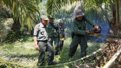 Selamatkan Cagar Alam Air Rami, Ribuan Kelapa Sawit Dimusnahkan