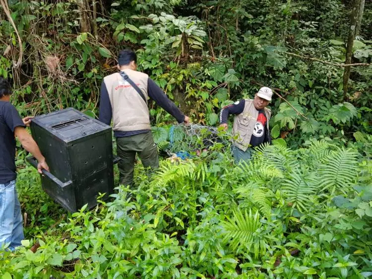 2019, BBKSDA Sulsel Selamatkan Puluhan Satwa Liar Dilindungi, Sebagian Besar Serahan Masyarakat