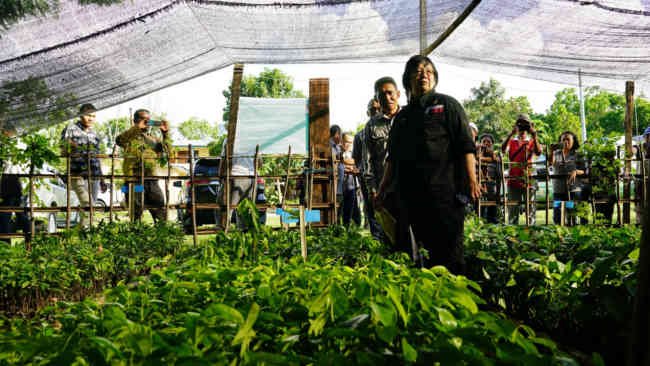 Atasi Lahan Kritis Persemaian Modern akan Dibangun di Labuan Bajo