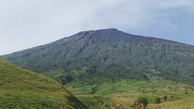 Morchella Rinjaniensis, Keajaiban Baru dari Gunung Rinjani