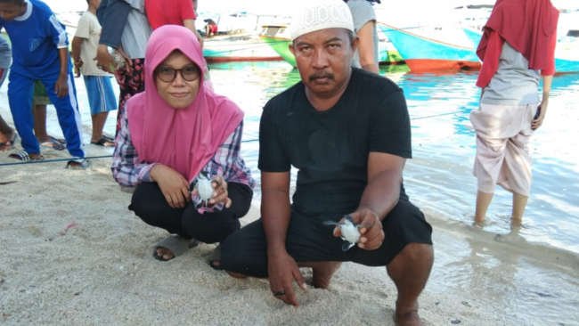 Begini Kemeriahan Pelepasliaran Tukik di Resor Jinato TN Taka Bonerate
