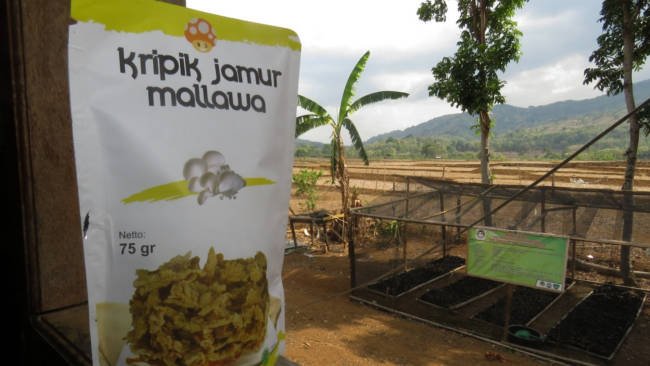 Kenalkan si Kejam yang Mampu Menggoyang Lidah dari Mallawa