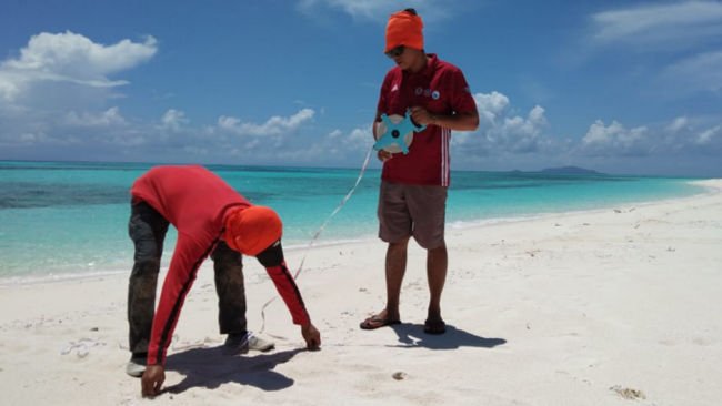 Menelusuri Jejak Penyu di Pulau Lantigiang