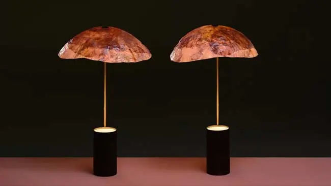 Tudung Lampu Ramah Lingkungan Ini Terbuat dari Kol
